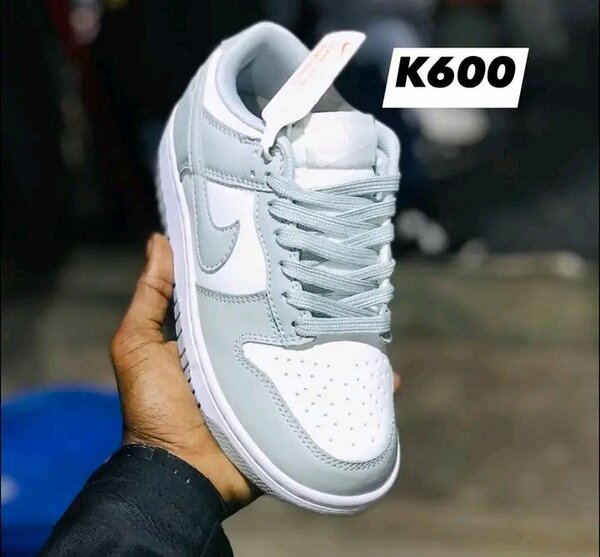 Sbb dunk