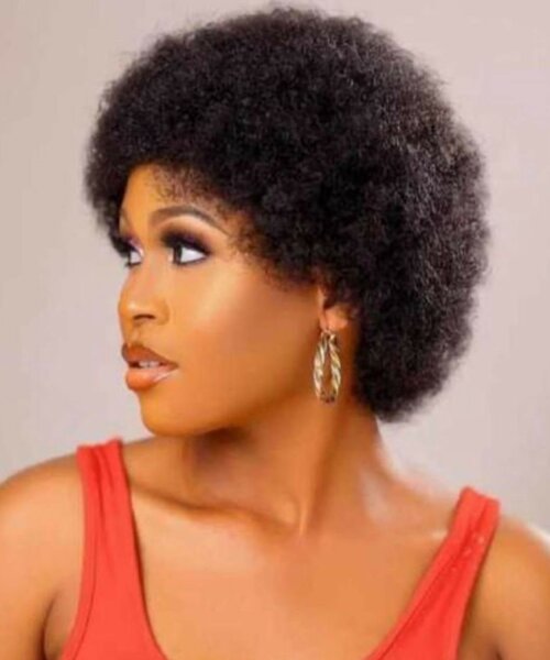 Perruque Afro Naturelle
