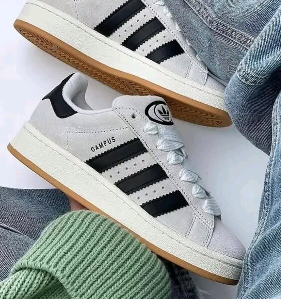 Adidas campus original