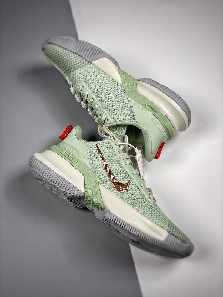 LEBRON JAMES AMBASSADOR 13