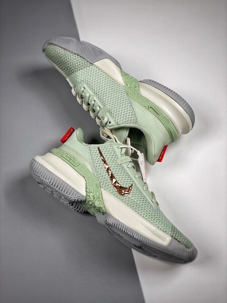 LEBRON JAMES AMBASSADOR 13