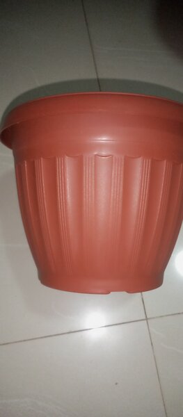 Flower Pot