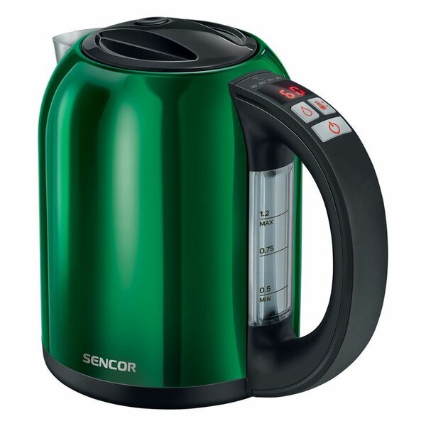 Electric kettle