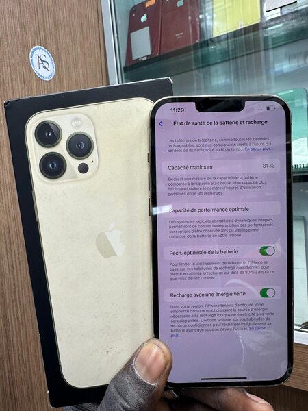 iPhone 13 Pro Max