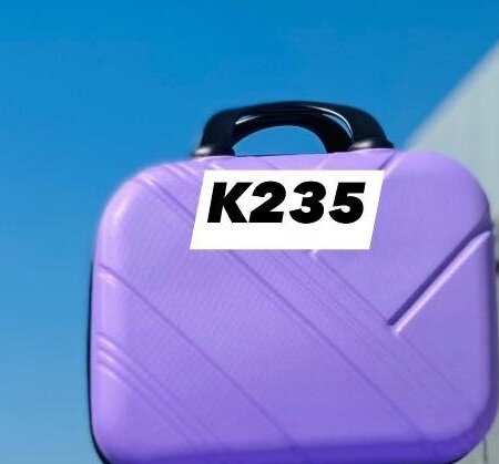 TRAVELING BAGS