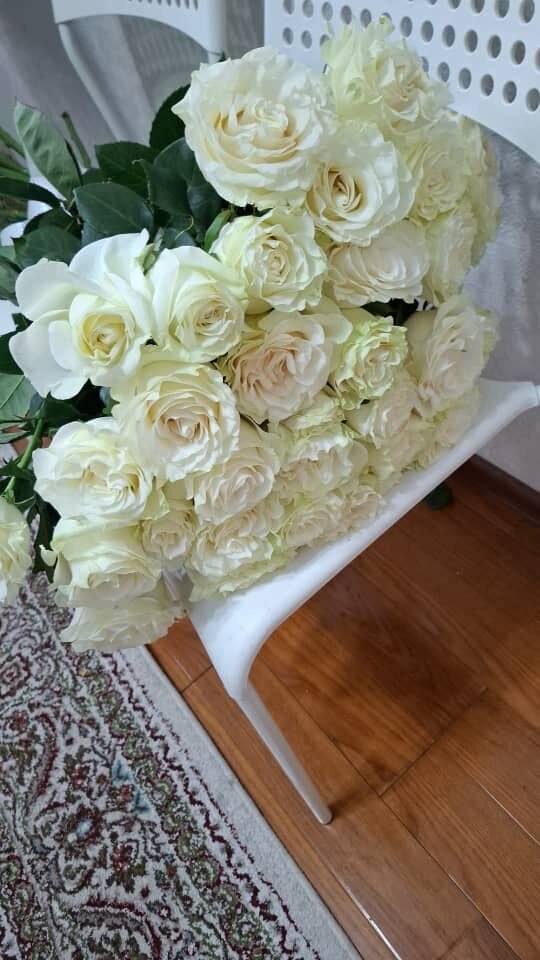 розы