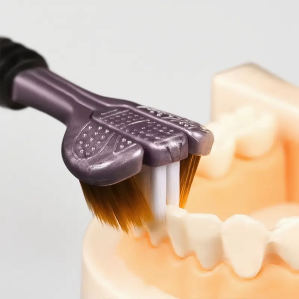 Brosse a dent 360°
