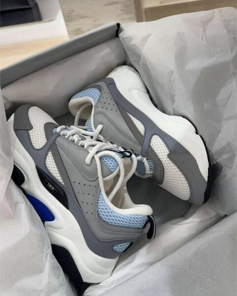 Dior homme B22