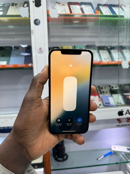 iPhone 12 Pro Max