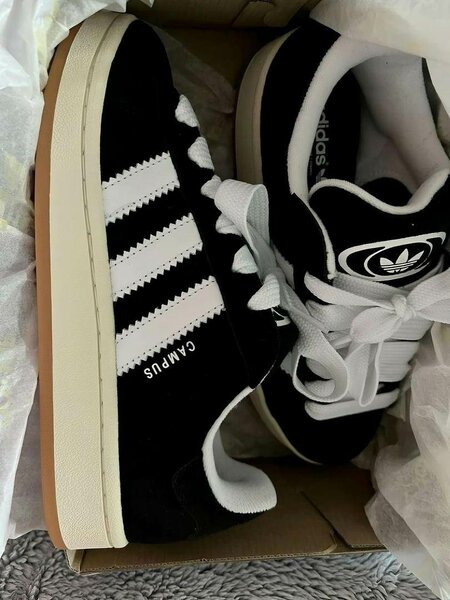 Addidas campus