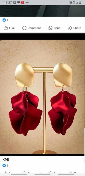 Earrings