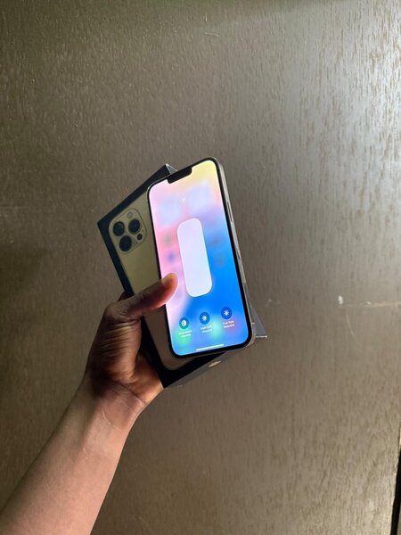 iPhone 13pro max
