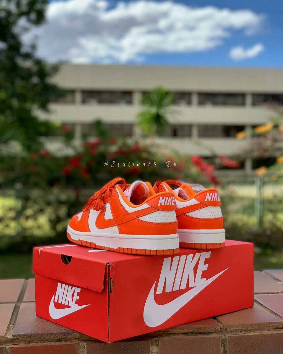 Nike Sb Dunks Low Orange Syracuse