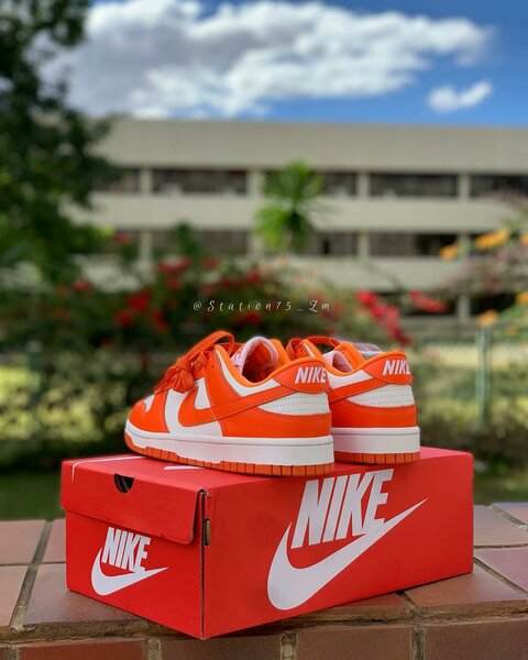 Nike Sb Dunks Low Orange Syracuse