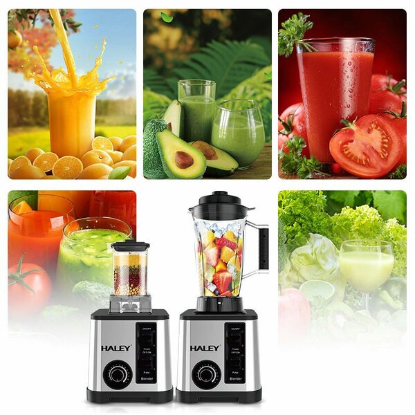 Mixeur Multifonction HALEY 5500W