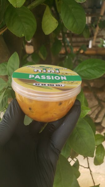 Purée de Fruit de la Passion