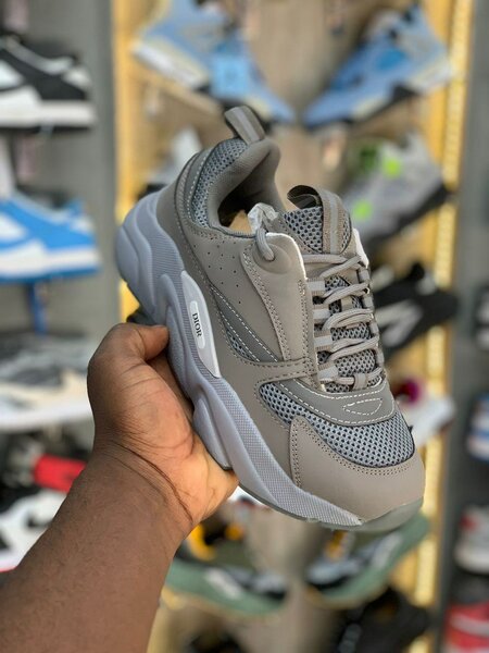 DIOR B22