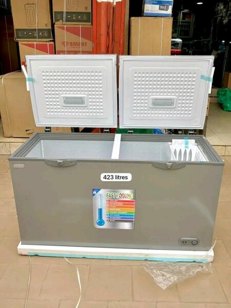 Congélateur Coffre 423 Litres