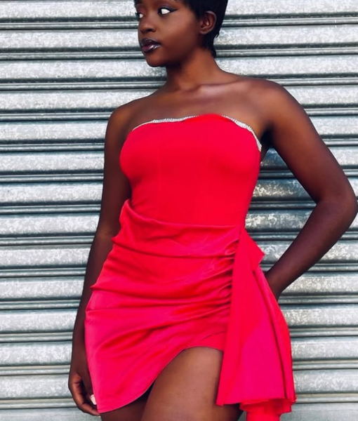 Mini dress red