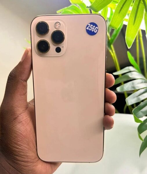 iPhone 12pro max