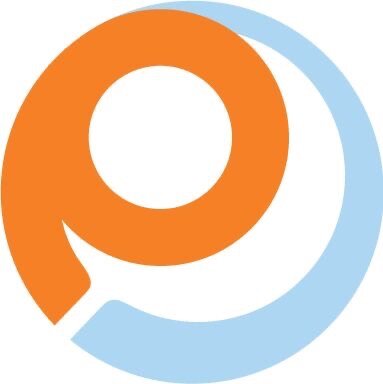 Payless Electronics 