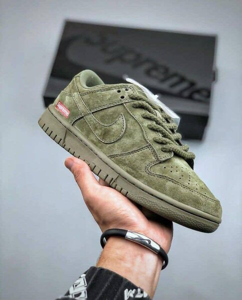 Nike sb Trei