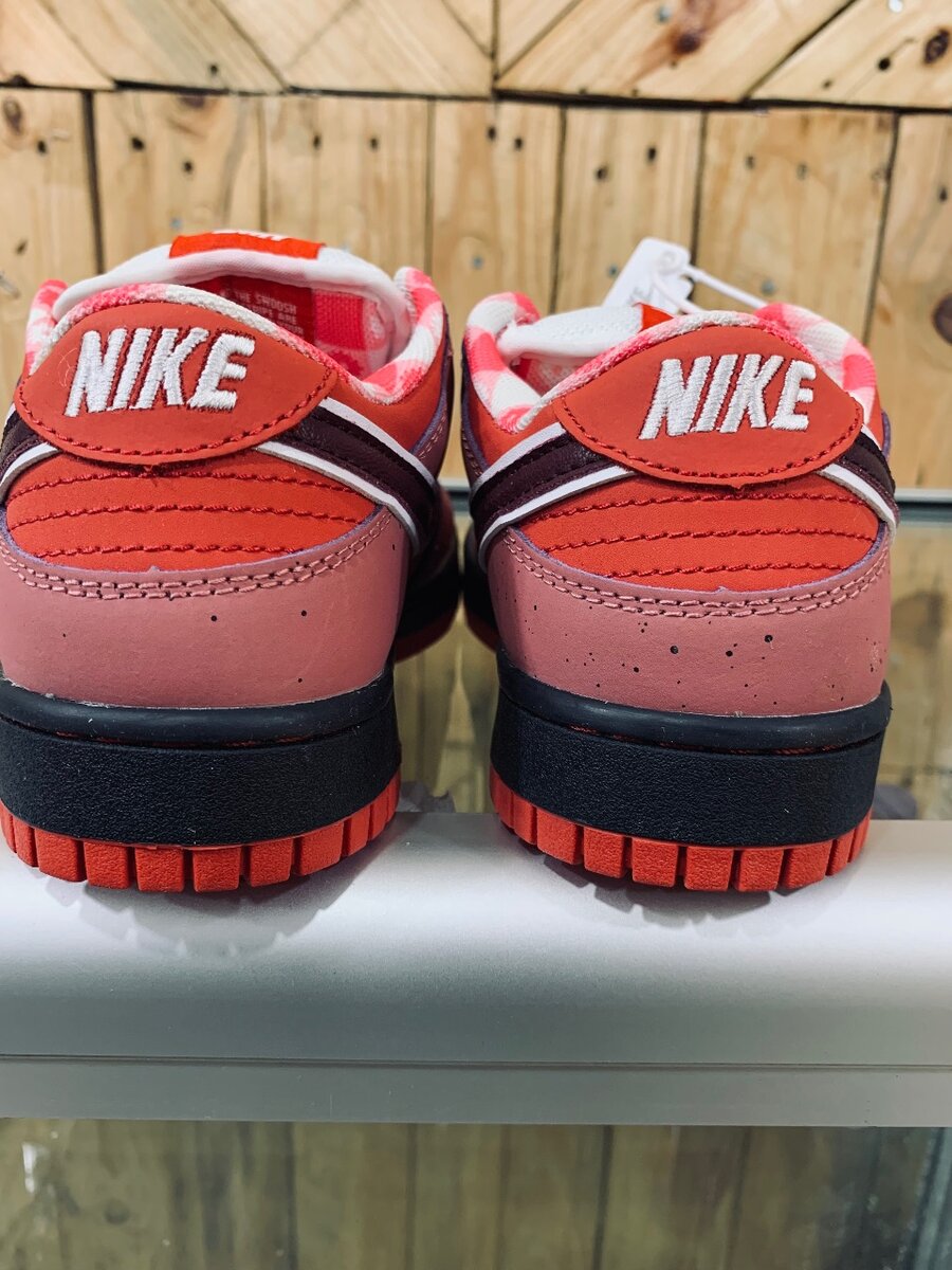 Nike Sb