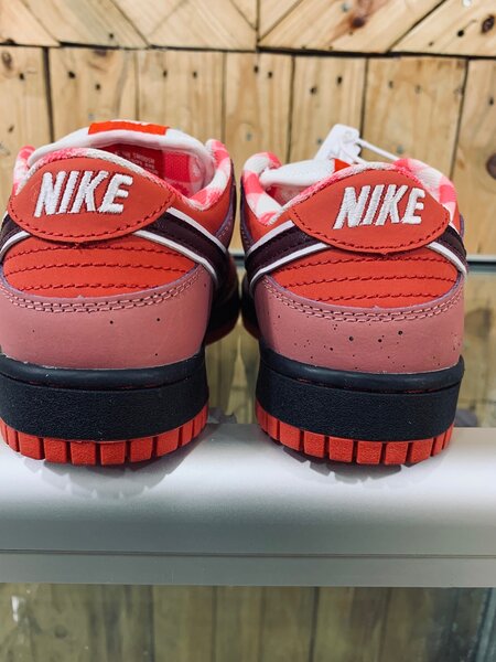 Nike Sb