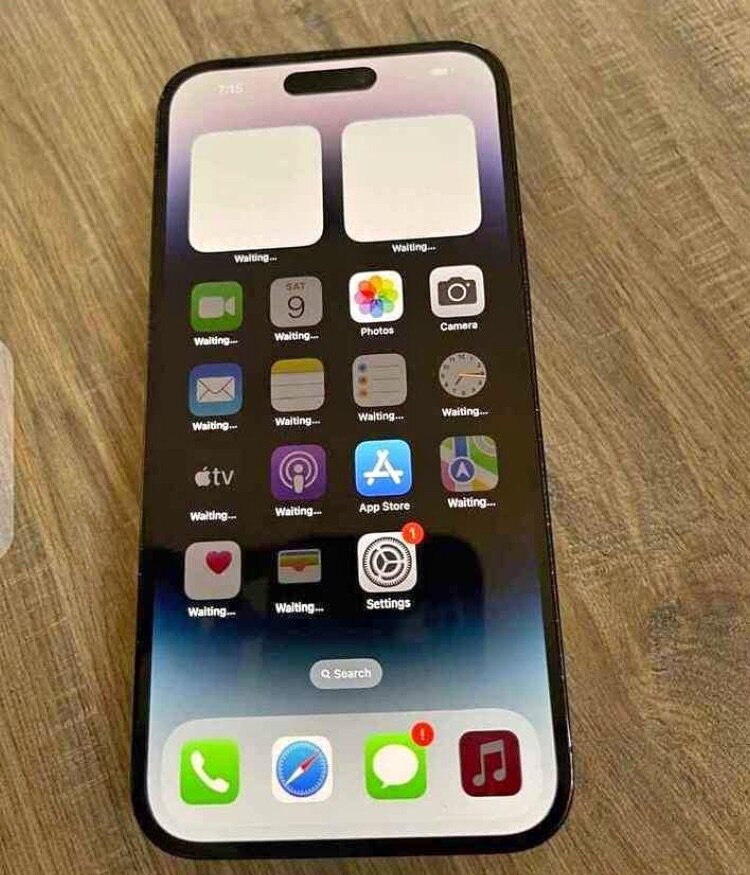 iPhone 14 pro max