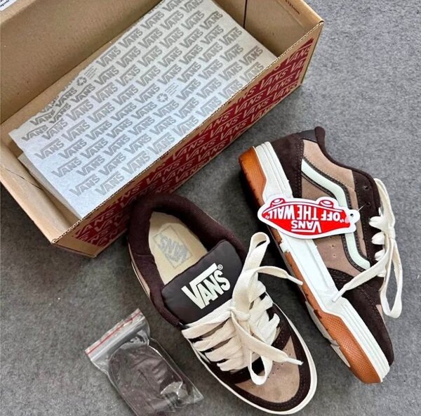 Vans Baskets Skate Homme