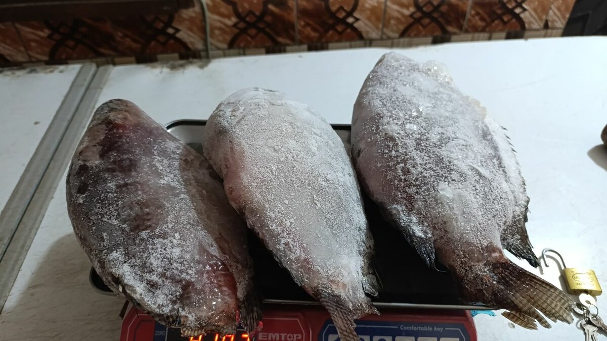 4k,184 grammes