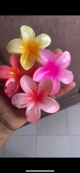Pinces à cheveux fleurs colorées