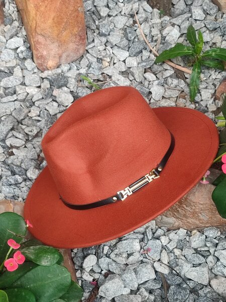 Fedora hat