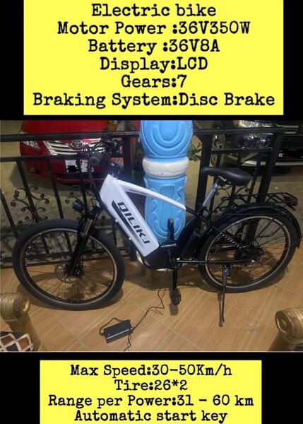 Electronic bike