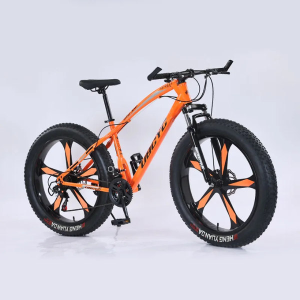 Vélo tout-terrain Fat Bike