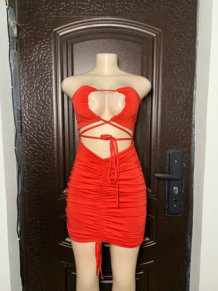 Bodycorn Berback dress