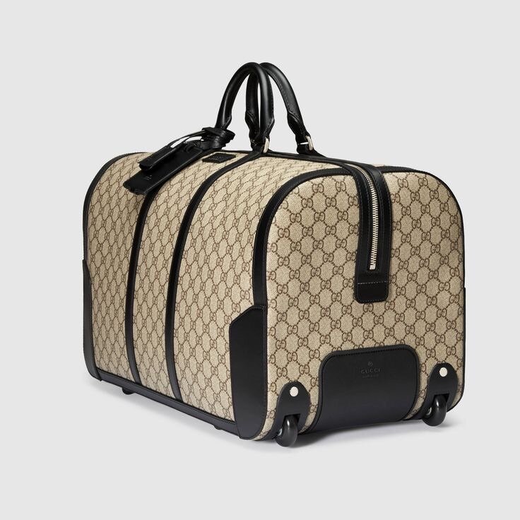 Traveling Bag