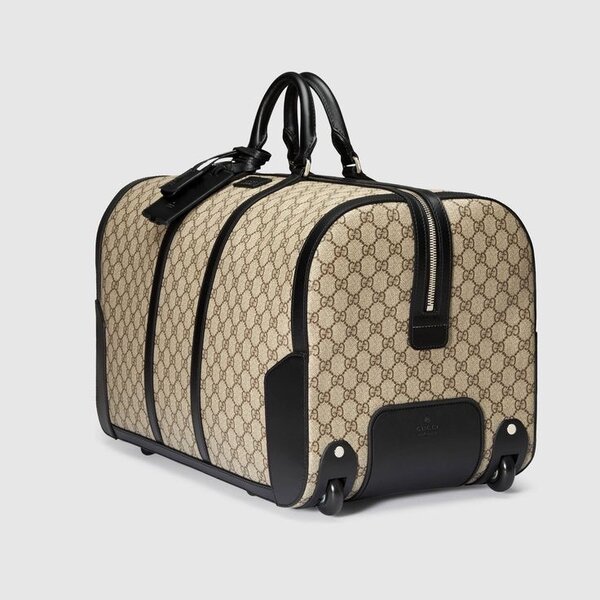 Traveling Bag