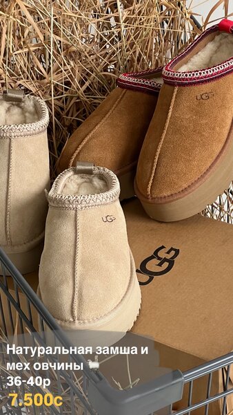 Ugg Tazz Угги