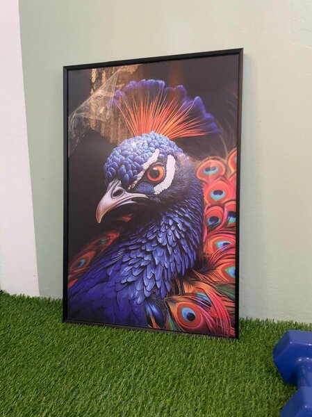 Picture Frames