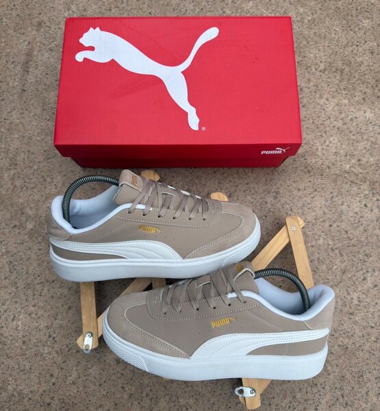Chaussure puma