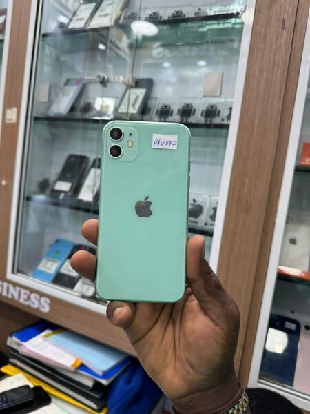 iPhone 11 Couleur Vert