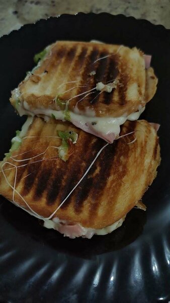 Délicieux Panini Grillé