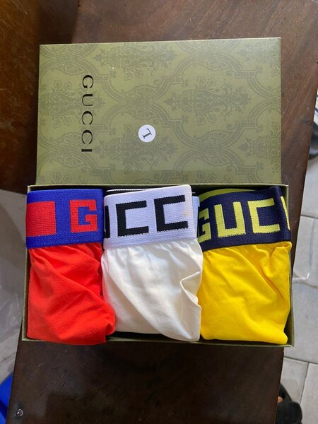Chocoto boxer