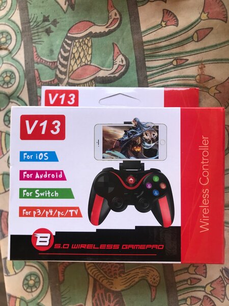 V13