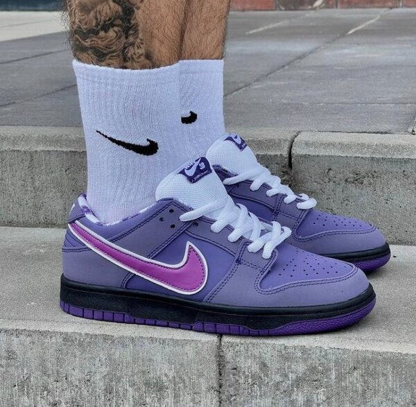 Nike SB sneakers