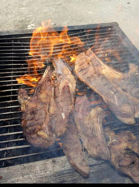 Tbone & Fish