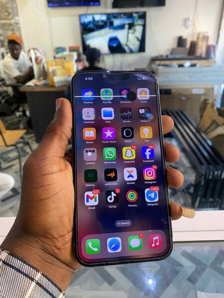 iPhone 13 Pro Max