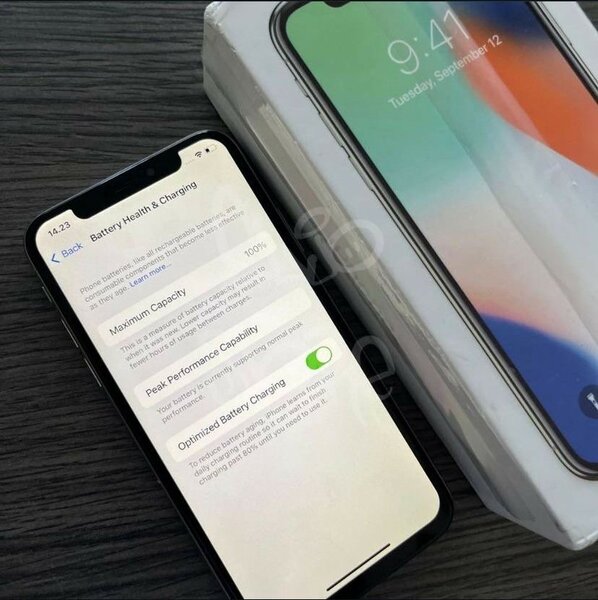iPhone X