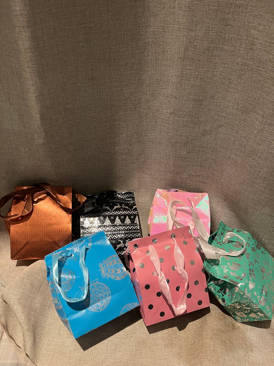 Lot de Sacs Cadeaux Colorés